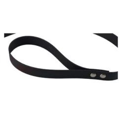 Jokidog | Laisse Bio-beta 25 Mm Avec Mousqueton Alu De Sécurité -Fournitures Pour Chiens jokidog laisse bio beta 25 mm avec mousqueton alu de securite 2