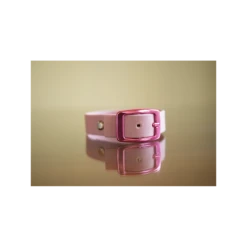 Joy & Ezra | Collier Réglable En Biothane