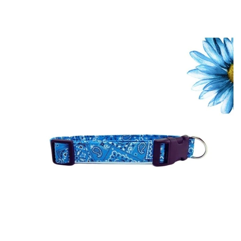 K9 Bytes | Ensemble Collier Et Laisse Pour Chien | Bandana Turquoise 3 K9 Bytes | Ensemble Collier Et Laisse Pour Chien | Bandana Turquoise