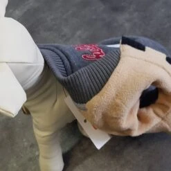 Karlie | Chien | Sweat-shirt Collège 5 Karlie | Chien | Sweat-shirt Collège -Fournitures Pour Chiens karlie chien sweat shirt college 1