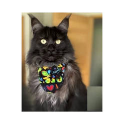 KFarah | Chat Et Chien Et Chiot | Foulard Humeurs