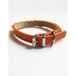 KFarah | Chien Et Chiot | Collier Simple Orange Cristal 10 KFarah | Chien Et Chiot | Collier Simple Orange Cristal -Fournitures Pour Chiens kfarah chien et chiot collier simple orange cristal 3