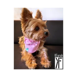 KFarah | Chien Et Chiot Et Chat | Foulard Rose