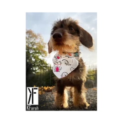 KFarah | Chien Et Chiot | Foulard Bandana Blanc