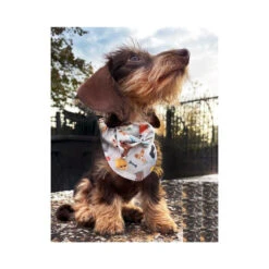 KFarah | Chien Et Chiot | Foulard Bandana Gris