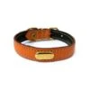 La Cinopelca | Collier Plat Cuir De Veau Souple | Saumon -Fournitures Pour Chiens la cinopelca collier plat cuir de veau souple saumon