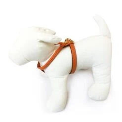 La Cinopelca | Harnais Cuir De Veau Souple | Saumon 6 La Cinopelca | Harnais Cuir De Veau Souple | Saumon -Fournitures Pour Chiens la cinopelca harnais cuir de veau souple saumon 1