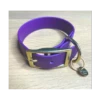 Le Cocon De César | Collier Funky Pour Chien Sangle Enduite | Violet 1 Le Cocon De César | Collier Funky Pour Chien Sangle Enduite | Violet -Fournitures Pour Chiens le cocon de cesar collier funky pour chien sangle enduite violet