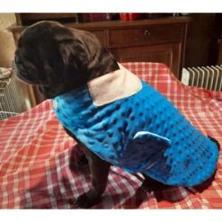 Le Kleb's Raffiné | Manteau Pour Carlin