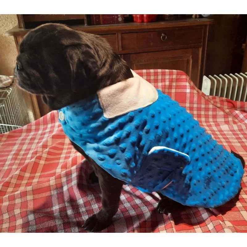 Le Kleb's Raffiné | Manteau Pour Carlin 3 Le Kleb's Raffiné | Manteau Pour Carlin