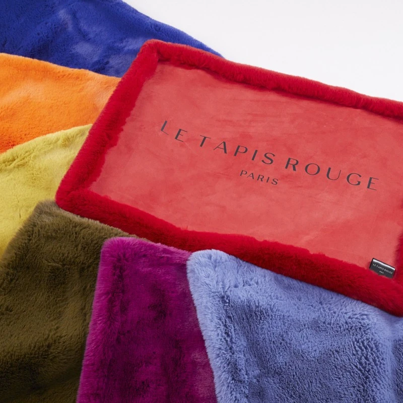 Le Tapis Rouge | Chien Et Chat | Tapis DUBAÏ 6 Le Tapis Rouge | Chien Et Chat | Tapis DUBAÏ – Image 4