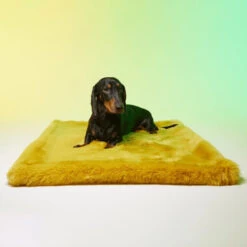 Le Tapis Rouge | Chien | Tapis Collection SWEET BREAKFAST | Jaune Avec Personnages