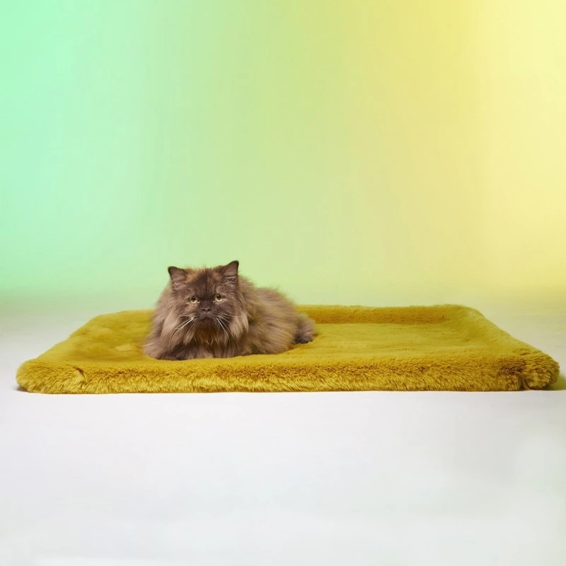 Le Tapis Rouge | Chien | Tapis Collection SWEET BREAKFAST | Jaune Avec Personnages 6 Le Tapis Rouge | Chien | Tapis Collection SWEET BREAKFAST | Jaune Avec Personnages – Image 4