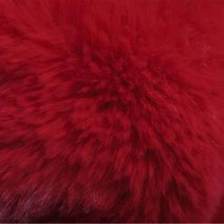 Le Tapis Rouge | Chien | Tapis Collection TIME TO ROCK | Rouge Avec Personnages 10 Le Tapis Rouge | Chien | Tapis Collection TIME TO ROCK | Rouge Avec Personnages -Fournitures Pour Chiens le tapis rouge chien tapis collection time to rock rouge avec personnages 3