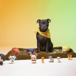 Le Tapis Rouge | Collection CAMO VIBE | Kaki Avec Personnages Japonais