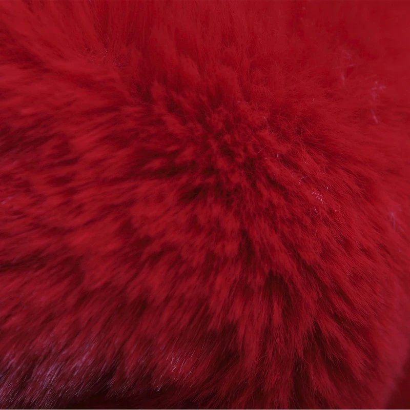 Le Tapis Rouge | Tapis Pour Chien Et Chat Haut De Gamme PARIS | Rouge Glamour 7 Le Tapis Rouge | Tapis Pour Chien Et Chat Haut De Gamme PARIS | Rouge Glamour – Image 5