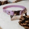 Les Ateliers De Shiro | Collier Pour Chien Biothane Couleur " Lavande" 2 Les Ateliers De Shiro | Collier Pour Chien Biothane Couleur " Lavande" -Fournitures Pour Chiens les ateliers de shiro collier pour chien biothane couleur lavande