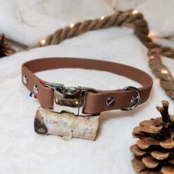 Les Ateliers De Shiro | Collier Pour Chien Biothane | Marron Chaud -Fournitures Pour Chiens les ateliers de shiro collier pour chien biothane marron chaud 2