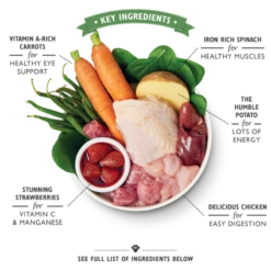 Fournitures Pour Chiens -Fournitures Pour Chiens lily s kitchen patee pour chien sans cereales poulet pommes de terre et fraises 1 1