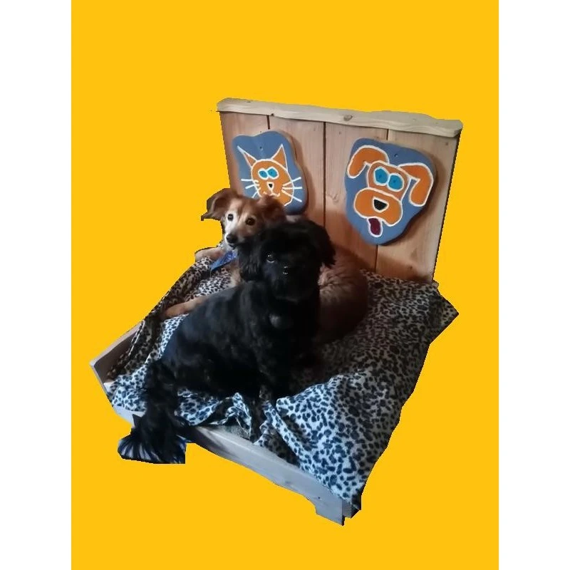 LPB | Le Royal | Fauteuil Pour Chien Et Chat 4 LPB | Le Royal | Fauteuil Pour Chien Et Chat – Image 2