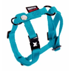 Martin Sellier | Chien | Harnais Nylon Avec Sa Laisse Pour Petit Chien 7 Martin Sellier | Chien | Harnais Nylon Avec Sa Laisse Pour Petit Chien -Fournitures Pour Chiens martin sellier chien harnais nylon avec sa laisse pour petit chien 1