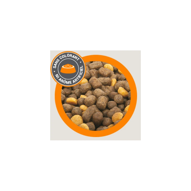 Mastery | Croquettes Pour Chien Au Canard | 12kg 6 Mastery | Croquettes Pour Chien Au Canard | 12kg – Image 4