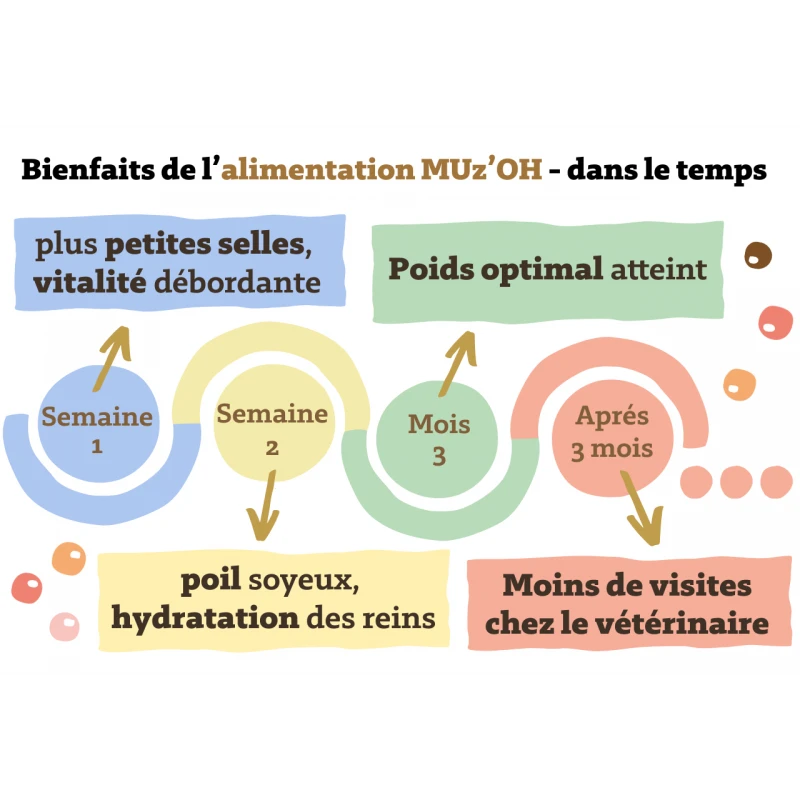 MUz'OH | Chien Repas Frais 5kg OH' Bœuf, OH' Veau, AH L'Agneau 4 MUz'OH | Chien Repas Frais 5kg OH' Bœuf, OH' Veau, AH L'Agneau – Image 2