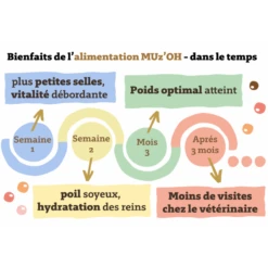 Fournitures Pour Chiens -Fournitures Pour Chiens muz oh chien repas frais oh veau 1