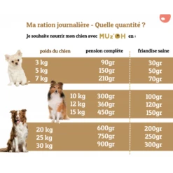 MUz'OH | Chien | Repas Frais OH' VEAU 9 MUz'OH | Chien | Repas Frais OH' VEAU -Fournitures Pour Chiens muz oh chien repas frais oh veau 2