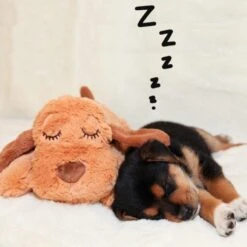 Nala & Milo | LUCKY™ Doudou Réconfortant | Peluche Pour Chien -Fournitures Pour Chiens nala milo lucky doudou reconfortant peluche pour chien 1