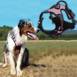 Nala&Milo | Chien | Harnais Anti Traction Harmony™ -Fournitures Pour Chiens nalamilo chien harnais anti traction harmony 3
