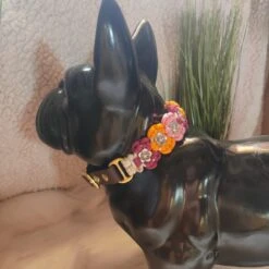 NaturaDogandCo | Colliers Pour Chien - FLOWER - Paracorde 10 NaturaDogandCo | Colliers Pour Chien - FLOWER - Paracorde -Fournitures Pour Chiens naturadogandco colliers pour chien flower paracorde 2