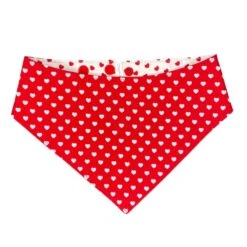 Oria & Guiizmo |Bandana Valentine