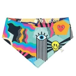 Oria & Guizmo | Chien Et Chat | Bandana Parisien