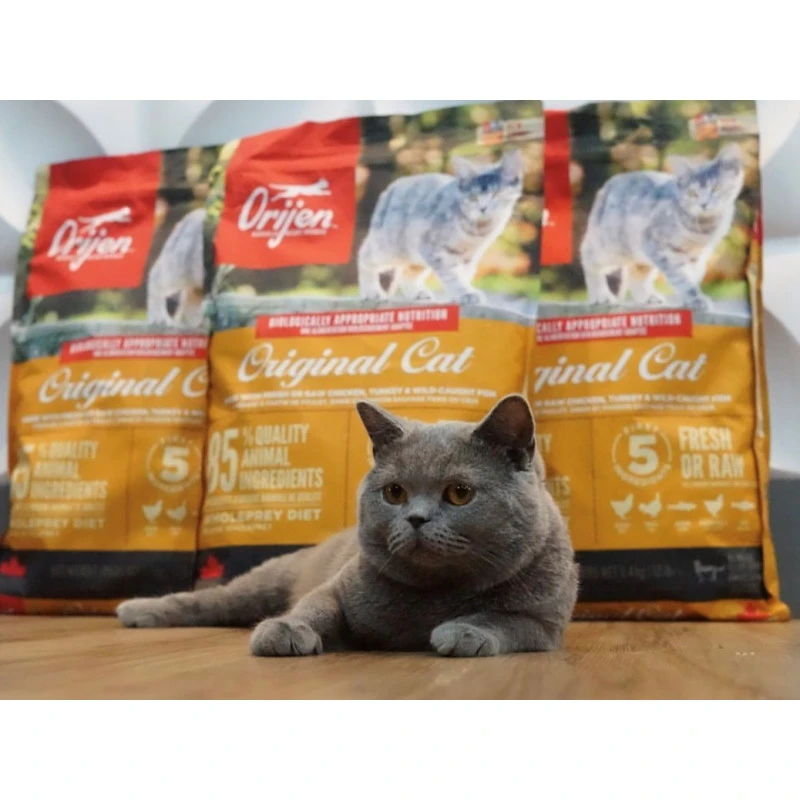 ORIJEN Cat & Kitten | Croquettes Pour Chat Et Chaton | Sans Céréales 4 ORIJEN Cat & Kitten | Croquettes Pour Chat Et Chaton | Sans Céréales – Image 2