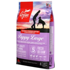 ORIJEN Puppy Large | Croquettes Pour Chiot De Grande Taille | Sans Céréales 9 ORIJEN Puppy Large | Croquettes Pour Chiot De Grande Taille | Sans Céréales -Fournitures Pour Chiens orijen puppy large croquettes pour chiot de grande taille sans cereales 2