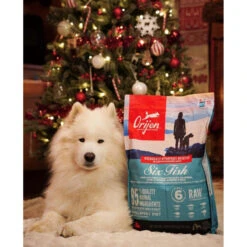 ORIJEN Six Fish | Croquettes Sans Céréales Pour Chiens Sensibles | Aux 6 Poissons 11 ORIJEN Six Fish | Croquettes Sans Céréales Pour Chiens Sensibles | Aux 6 Poissons -Fournitures Pour Chiens orijen six fish croquettes sans cereales pour chiens sensibles aux 6 poissons 3