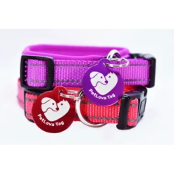 PetLova Tag | Chien Et Chat | Médaille Classique QR Code | VIOLET M 7 PetLova Tag | Chien Et Chat | Médaille Classique QR Code | VIOLET M -Fournitures Pour Chiens petlova tag chien et chat medaille classique qr code violet m 2