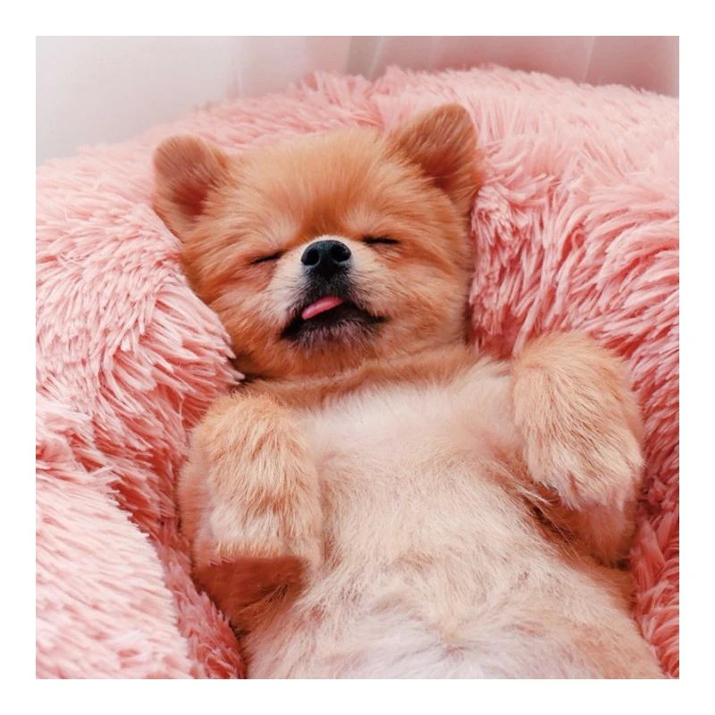 Pets Lover Store | Coussin Douillet Pour Chien Et Chat En Peluche "Donut" | Navy 4 Pets Lover Store | Coussin Douillet Pour Chien Et Chat En Peluche "Donut" | Navy – Image 2