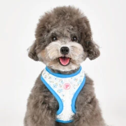 Pinkaholic | Chien | Harnais Réglable Lobelia | Bleu -Fournitures Pour Chiens pinkaholic chien harnais reglable lobelia bleu 3