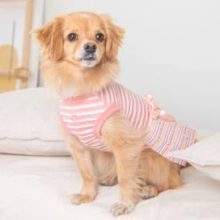 Pinkaholic | Chien | Robe JOIE | Rose 8 Pinkaholic | Chien | Robe JOIE | Rose -Fournitures Pour Chiens pinkaholic chien robe joie rose 2