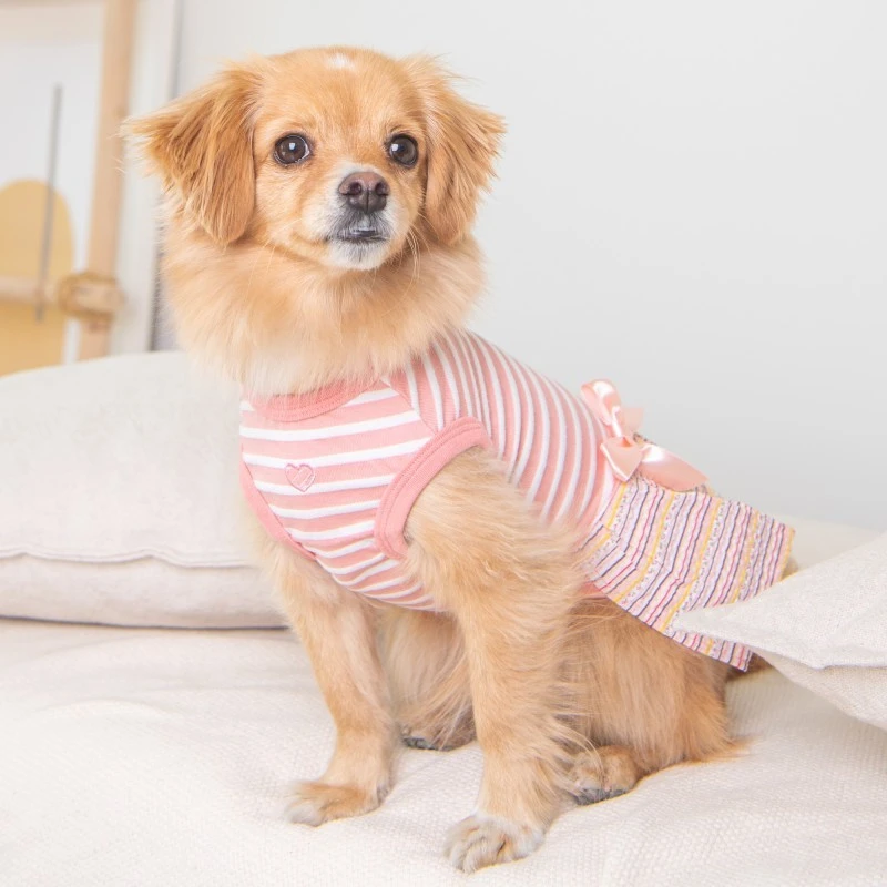 Pinkaholic | Chien | Robe JOIE | Rose 5 Pinkaholic | Chien | Robe JOIE | Rose – Image 3