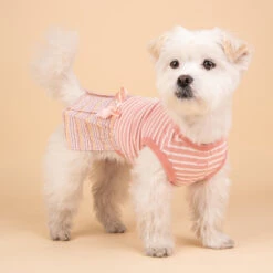 Pinkaholic | Chien | Robe JOIE | Rose 9 Pinkaholic | Chien | Robe JOIE | Rose -Fournitures Pour Chiens pinkaholic chien robe joie rose 3