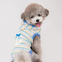 Pinkaholic | Chien | Sweat à Capuche à Capuche MAIRE BLEU -Fournitures Pour Chiens pinkaholic chien sweat a capuche a capuche maire bleu 2