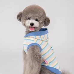 Pinkaholic | Chien | Sweat à Capuche à Capuche MAIRE BLEU -Fournitures Pour Chiens pinkaholic chien sweat a capuche a capuche maire bleu 3