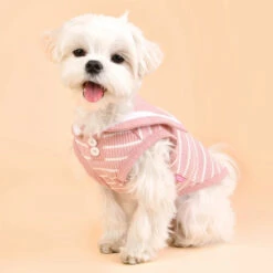 Pinkaholic | Chien | T-shirt Marinière CORDELIA Rose