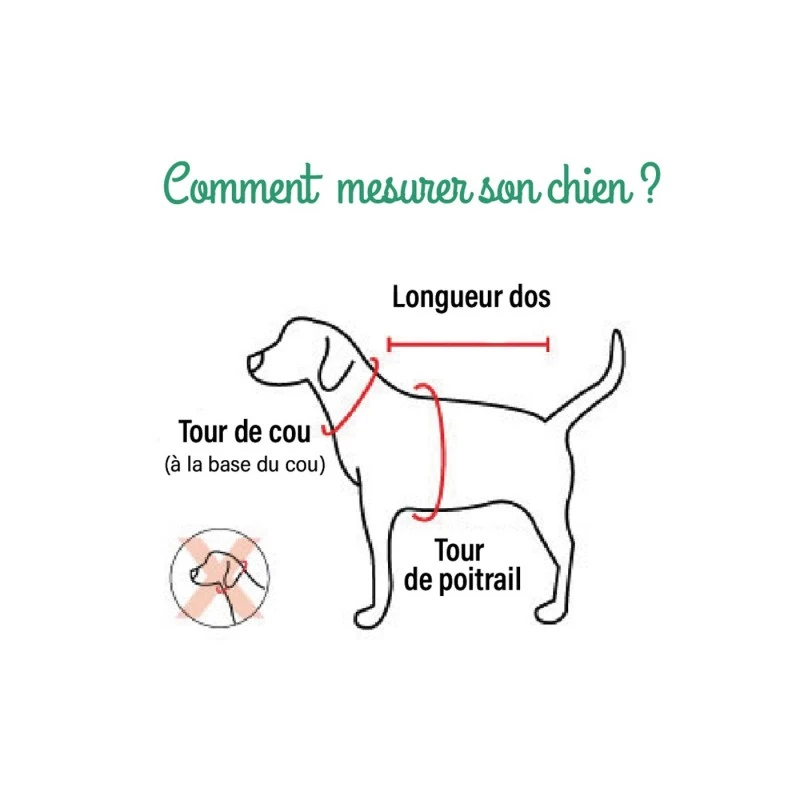 Pinkaholic Cordelia | Harnais Pour Petit Chien | Marinière Blanche 6 Pinkaholic Cordelia | Harnais Pour Petit Chien | Marinière Blanche – Image 4