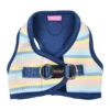 Pinkaholic Maire | Chien | Harnais Veste Rayé | Bleu 1 Pinkaholic Maire | Chien | Harnais Veste Rayé | Bleu -Fournitures Pour Chiens pinkaholic maire chien harnais veste raye bleu