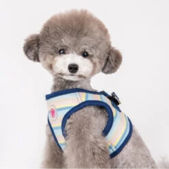 Pinkaholic Maire | Chien | Harnais Veste Rayé | Bleu 8 Pinkaholic Maire | Chien | Harnais Veste Rayé | Bleu -Fournitures Pour Chiens pinkaholic maire chien harnais veste raye bleu 2