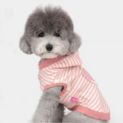 Pinkaholic Sweat à Capuche ANIKA | ROSE 8 Pinkaholic Sweat à Capuche ANIKA | ROSE -Fournitures Pour Chiens pinkaholic sweat a capuche anika rose 2